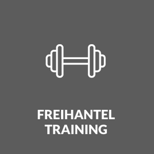 Icon Freihanteltraining in grau