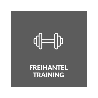 Icon Freihanteltraining in grau